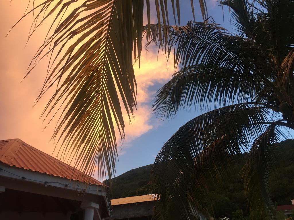 Fern Tree Bed And Breakfast Frigate Bay Bagian luar foto
